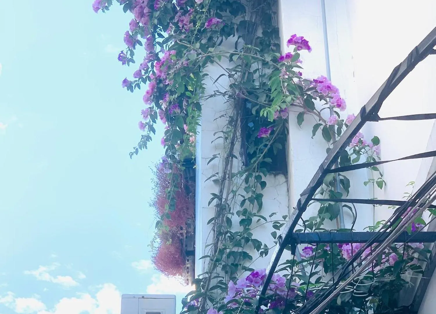فندق مبيت وإفطار May'S House هوي ان فيتنام